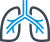 organ
